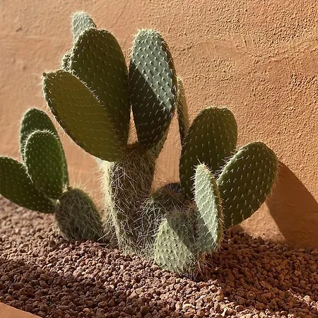 Beautiful 5 * Penthouse Very Near The Marbella