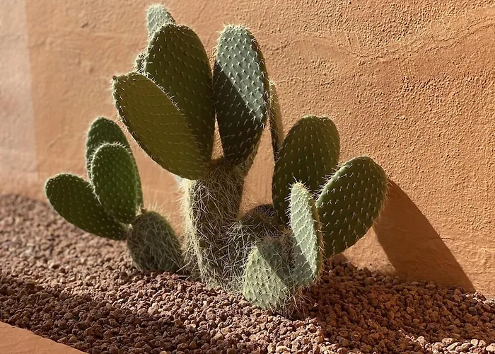 Beautiful 5 * Penthouse Very Near The Marbella